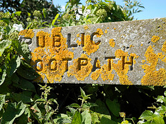 Overgrown footpath sign240x180