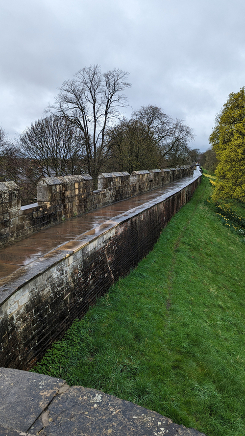 The York Walls Andy Gallagher